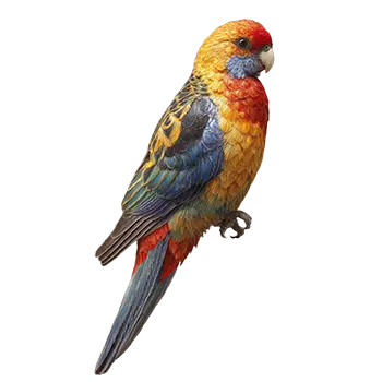 Golden-Mantled Rosella