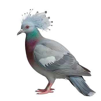Victoria Crowned Pigeon