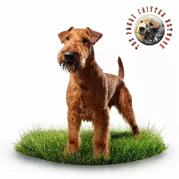 Furry Critter Network Logo