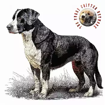 Furry Critter Network Logo