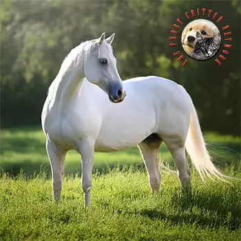 Hanoverian
