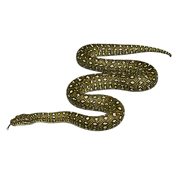 Diamond Python